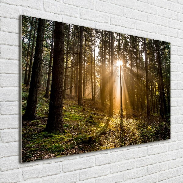 Quadro in vetro Luce solare