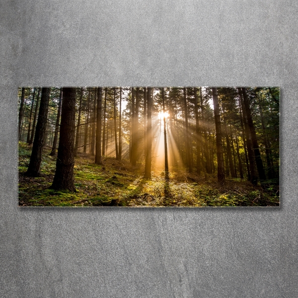 Quadro in vetro Luce solare