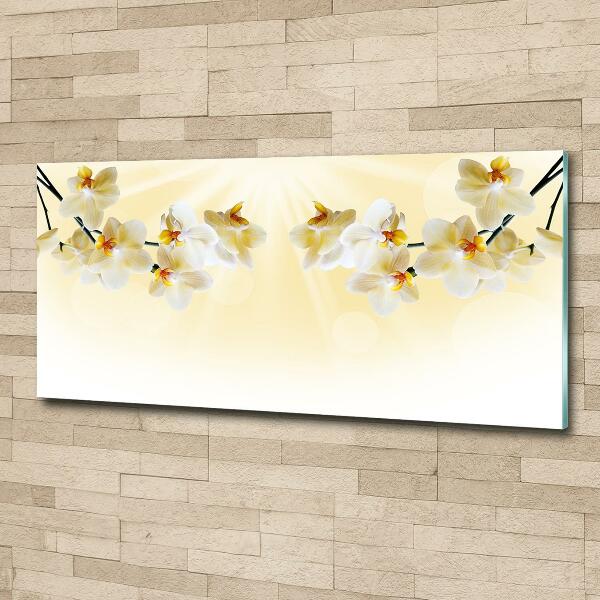 Quadro in verde Orchidea