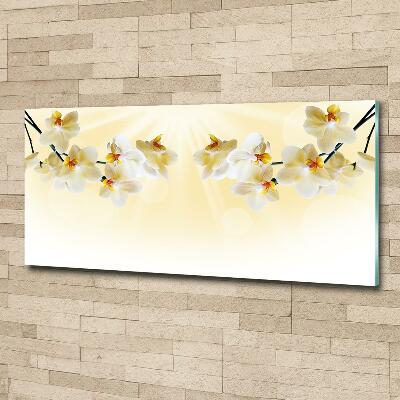 Quadro in verde Orchidea