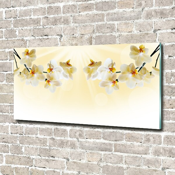 Quadro in verde Orchidea