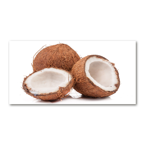 Quadro vetro Noce di cocco