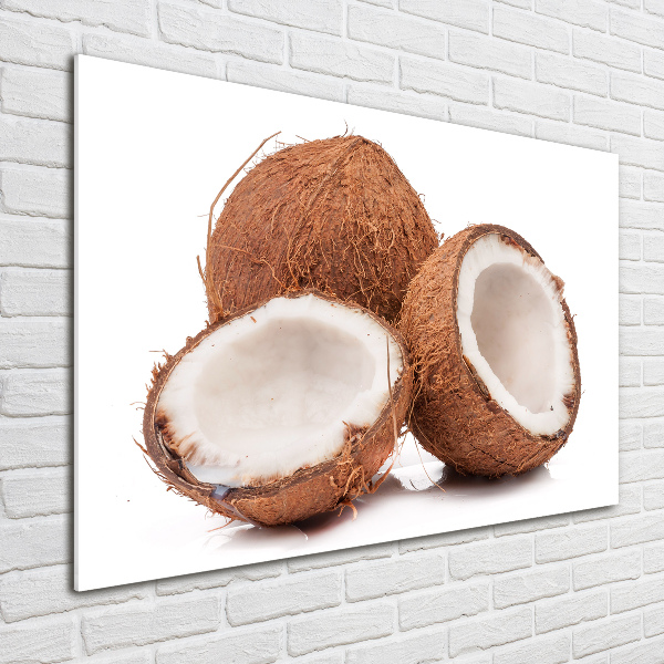 Quadro vetro Noce di cocco