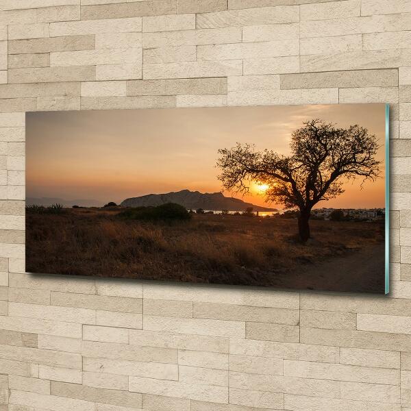 Quadro in verde Tramonto