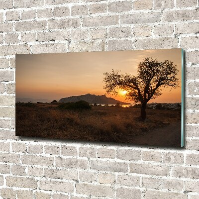 Quadro in verde Tramonto