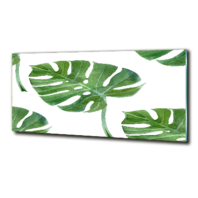 Quadro vetro Monstera