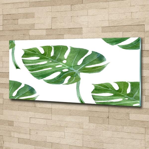 Quadro vetro Monstera