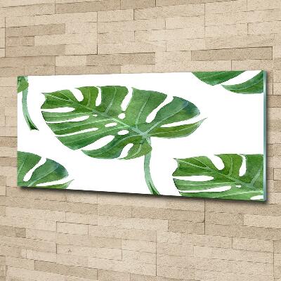 Quadro vetro Monstera