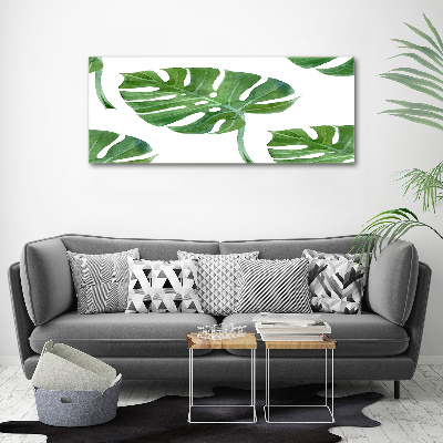 Quadro vetro Monstera