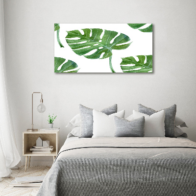 Quadro vetro Monstera