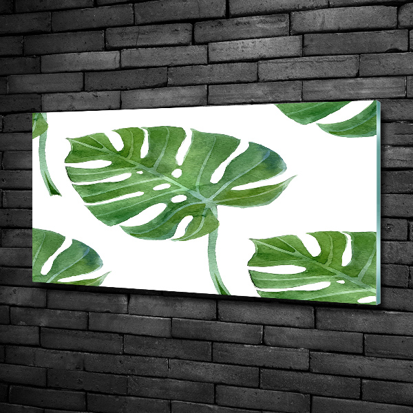 Quadro vetro Monstera