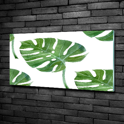 Quadro vetro Monstera