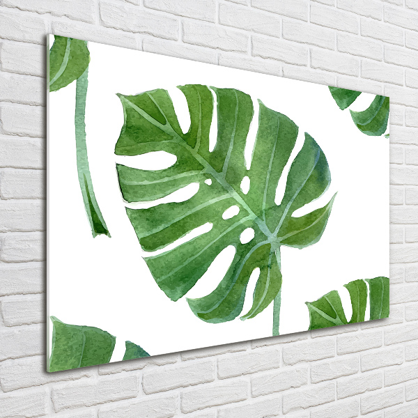 Quadro vetro Monstera