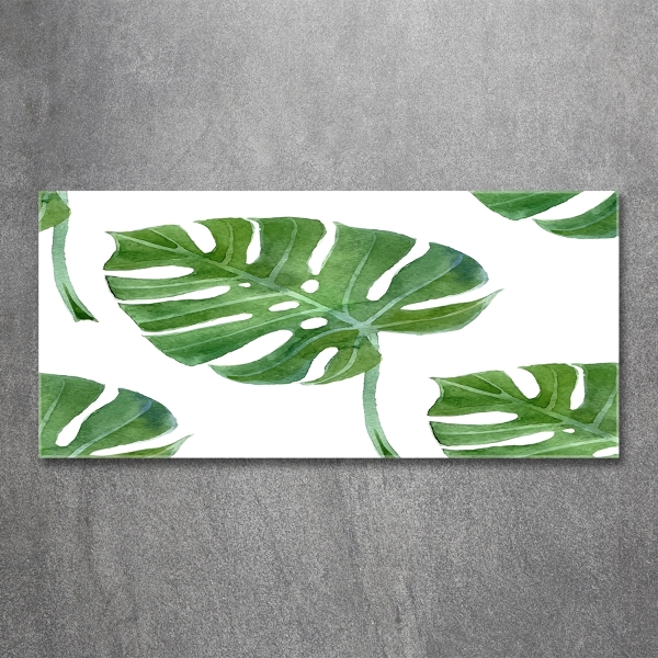 Quadro vetro Monstera