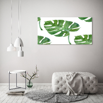 Quadro vetro Monstera