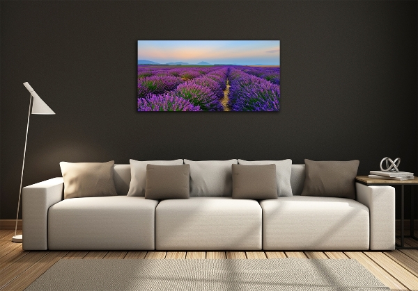 Quadro vetro Campo di lavanda