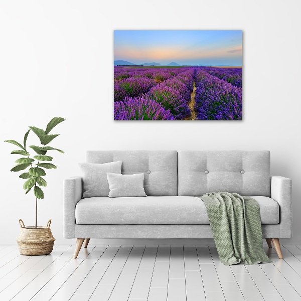 Quadro vetro Campo di lavanda