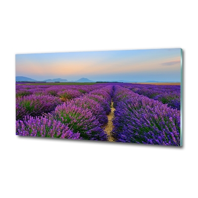 Quadro vetro Campo di lavanda