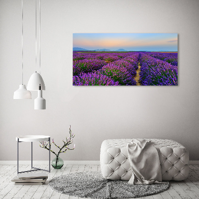 Quadro vetro Campo di lavanda