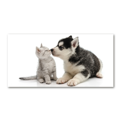 Quadro vetro Cane e gatto