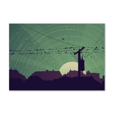 Quadro vetro Città degli uccelli