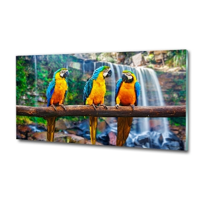 Quadro in verde Pappagalli su un ramo