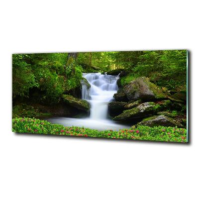 Quadro su vetro Cascata nella foresta