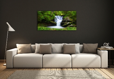 Quadro su vetro Cascata nella foresta