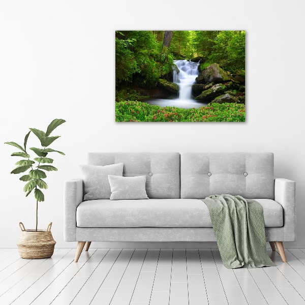Quadro su vetro Cascata nella foresta