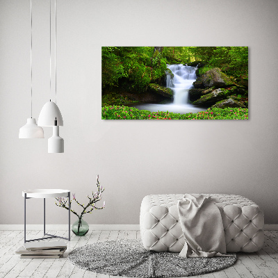 Quadro su vetro Cascata nella foresta