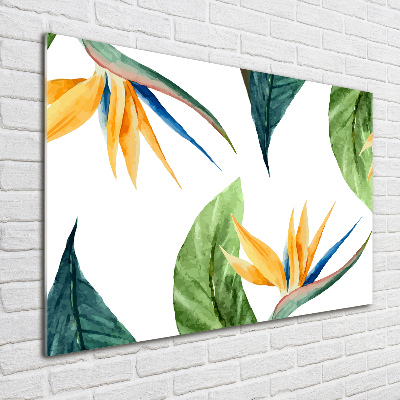 Quadro vetro Fiori tropicali