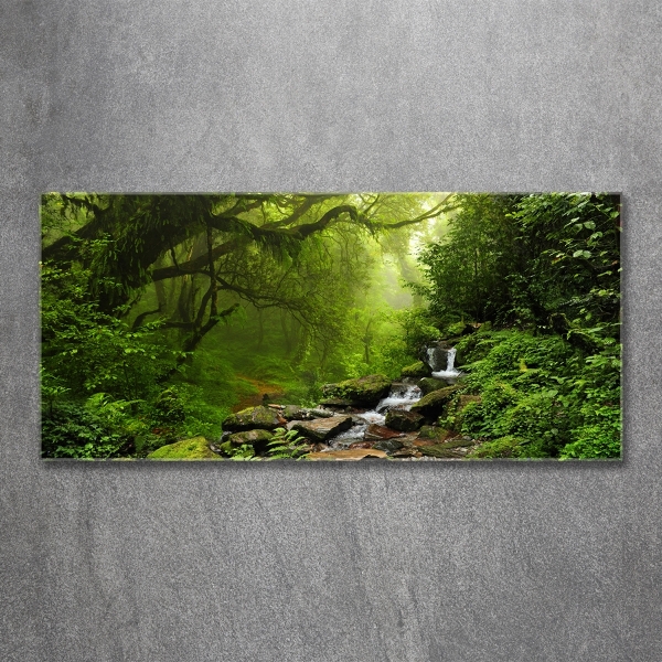 Quadro vetro Giungla in Nepal