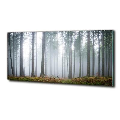 Quadro in vetro Nebbia nella foresta