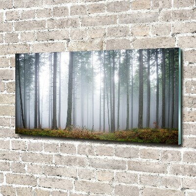 Quadro in vetro Nebbia nella foresta