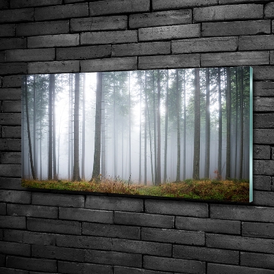 Quadro in vetro Nebbia nella foresta