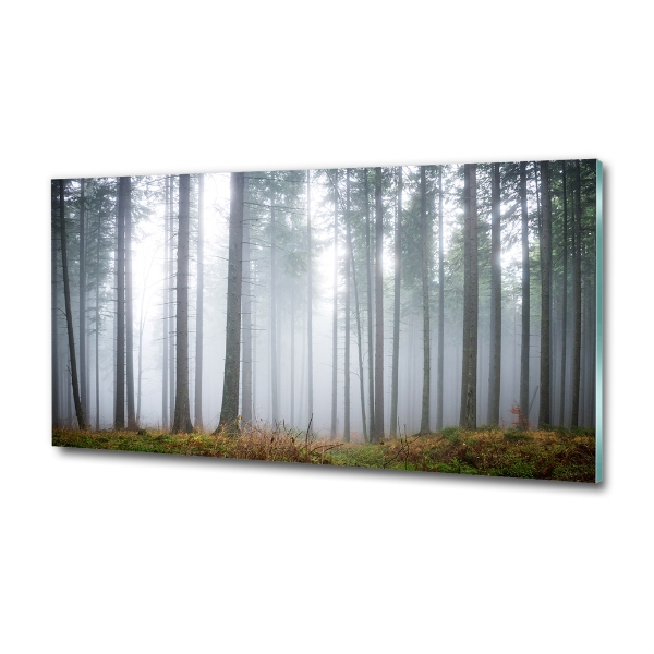 Quadro in vetro Nebbia nella foresta