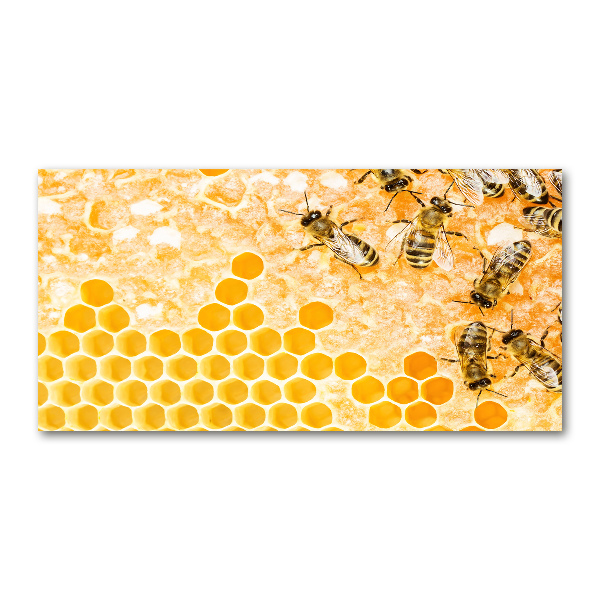 Quadro vetro Api operaie