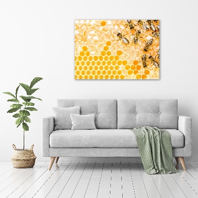 Quadro vetro Api operaie