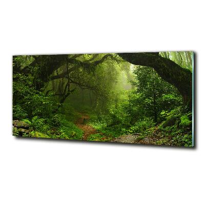 Quadro su vetro Giungla in Nepal