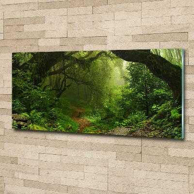 Quadro su vetro Giungla in Nepal