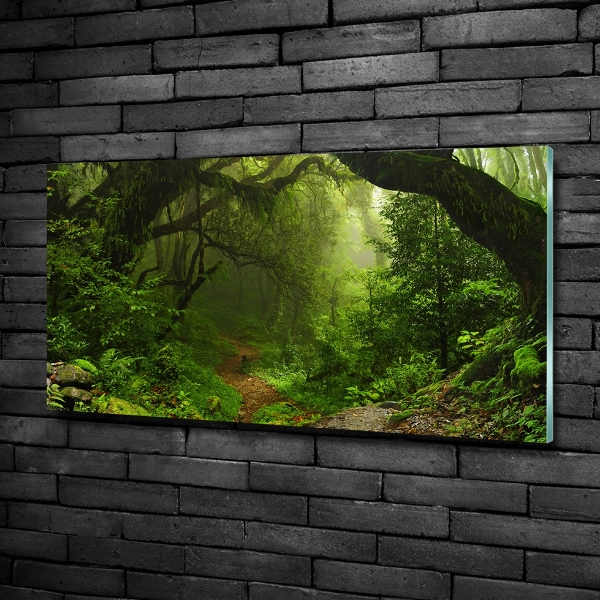 Quadro su vetro Giungla in Nepal