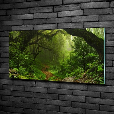 Quadro su vetro Giungla in Nepal