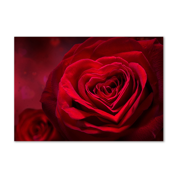 Quadro su vetro Cuore di rosa rossa