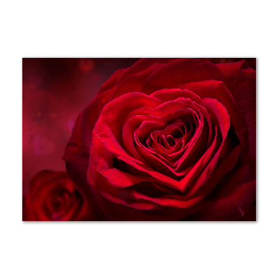 Quadro su vetro Cuore di rosa rossa