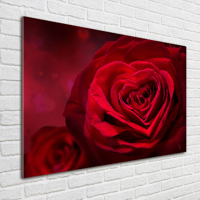 Quadro su vetro Cuore di rosa rossa