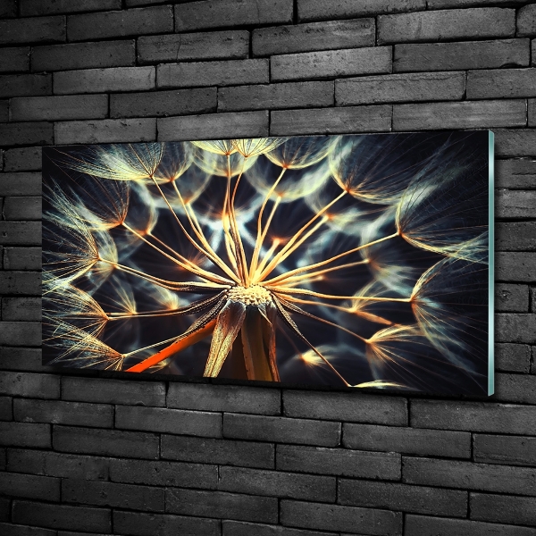 Quadro vetro Denti di leone