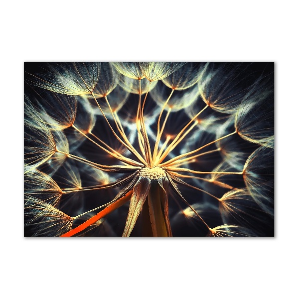 Quadro vetro Denti di leone