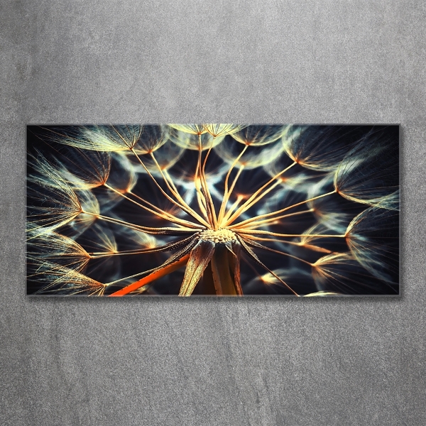 Quadro vetro Denti di leone