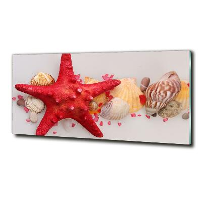 Quadro vetro Stelle marine e conchiglie