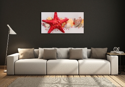 Quadro vetro Stelle marine e conchiglie